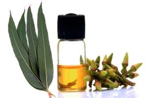 Aceite de eucalipto para el tratamiento de la onicomicosis