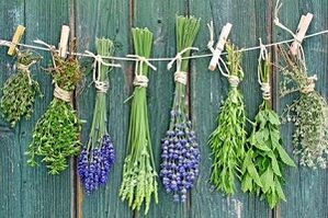 Hierbas para tratar hongos en las uñas de los pies.